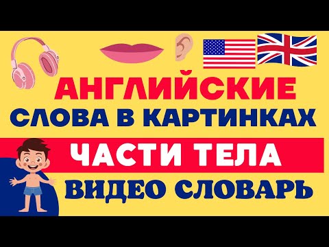 Видео: Названия частей тела на английском/ Английский в картинках/ЧАСТИ ТЕЛА/Видео словарь