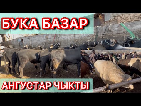 Видео: Бука базар кандай кызыды АНГУСТАР ЧЫКТЫ 2-Ноябрь 
