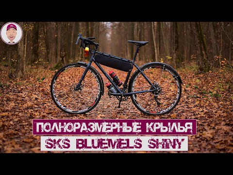 Видео: Полноразмерные крылья SKS BLUEMELS SHINY 53 ММ 28" (обзор)