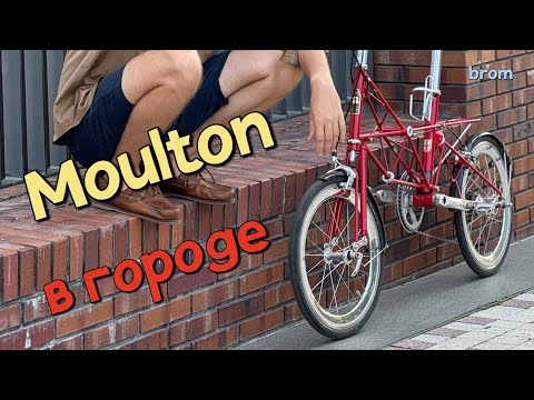 Видео: Moulton в городе