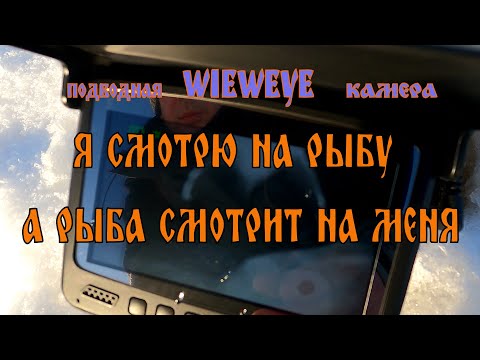 Видео: ПОД ЛЕД С ПОДВОДНОЙ КАМЕРОЙ. Забыл, что надо ловить)))