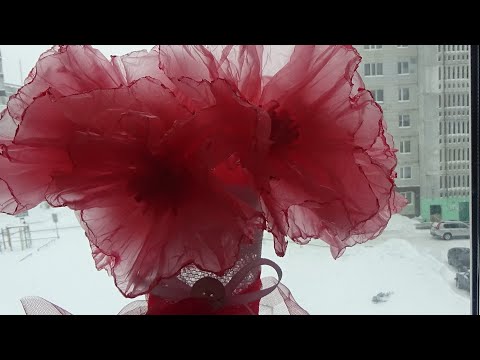 Видео: Цветы из мусорных пакетов за 2 мин.