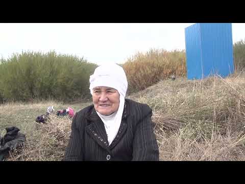 Видео: Салих Һұд Ойсылқара Мәлік Сыдық атаға тағзымен Ақтөбе әулие батырларға сәлем  1