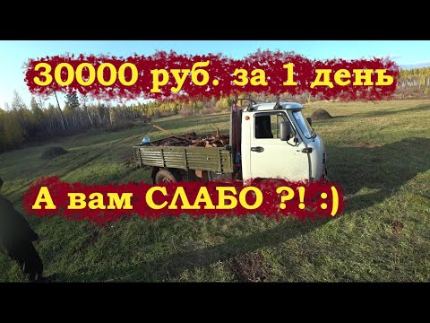 Видео: ПРОПАЛ ЧЕЛОВЕК!!!....Едем на металлокоп - бьем рекорды!