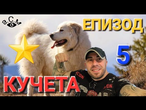 Видео: ЕПИЗОД 5 АТРАКТИВНИ ПОРОДИ КУЧЕТА - ЛЮБОПИТНИ ФАКТИ И ПОВЕДЕНИЕ - АЛЕКСАНДЪР СЕНЬОР МИТОВ а.С.м