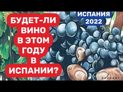 Видео: Испания  Лучшее вино Испании Luzon . Как его делают. #испания