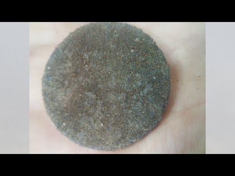 Видео: Удивительная находка, которая после чистки привела к неожиданным событиям!