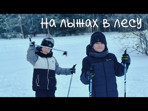 Видео: Катаемся на лыжах всей семьей в лесу\ влог #P_online