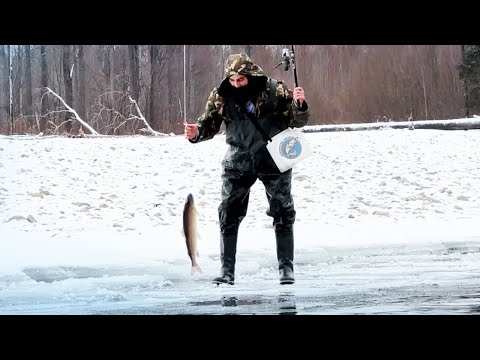 Видео: Ловля хариуса и ленка на мушку. Рыбалка на хариус в ноябре на спиннинг. Горная рыбалка на хариуса.