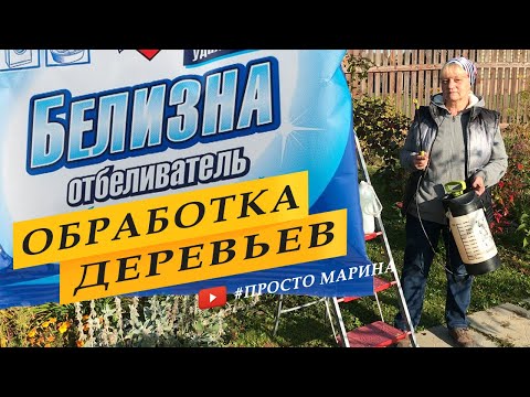 Видео: Опрыскивание сада и лечение ржавчины на груше белизной осенью.