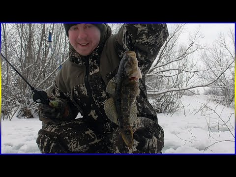 Видео: Зимняя рыбалка 2023 2024. Половил ротана на местном пруду