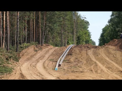 Видео: Специальный репортаж "Нефть или Бузулукский бор"