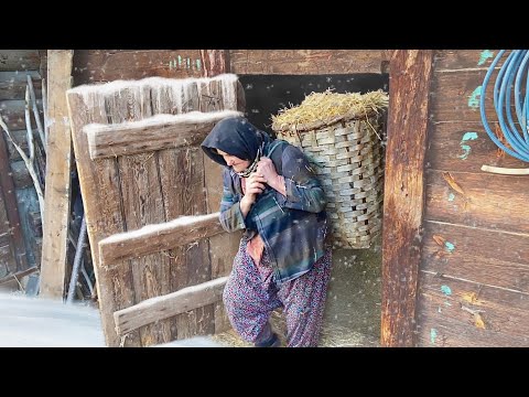 Видео: Тяжелая жизнь в деревне зимой. Снежная деревенская жизнь. Документальный фильм
