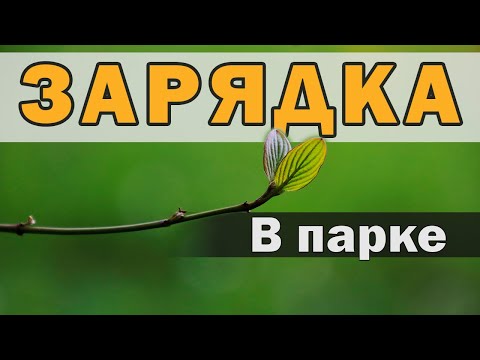 Видео: Зарядка в парке (Среднего уровня) 15 минут, стоя