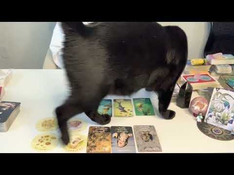 Видео: КОЗЕРОГ ♑️ВАУ! ЭТО НОВОЕ НАЧАЛО ПРИНОСИТ БОЛЬШОЕ ИЗОБИЛИЕ! | Гадание на Таро Козерога