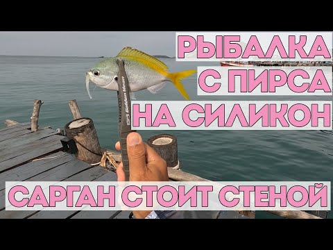 Видео: Я еще никогда не видел столько саргана. Приехали порыбачить в новое место. Рыбалка в Таиланде