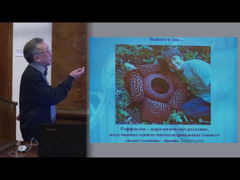 Видео: Ким А. И. - Генетика - 3. Целенаправленное изменение организмов. Генетический анализ