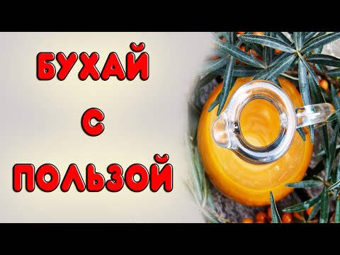 Видео: САМАЯ ПОЛЕЗНАЯ НАСТОЙКА НА САМОГОНЕ зимой. Рецепт настойки из облепихи на самогоне или водке