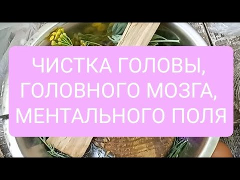 Видео: ЧИСТКА ГОЛОВЫ, ГОЛОВНОГО МОЗГА, МЕНТАЛЬНОГО ПОЛЯ
