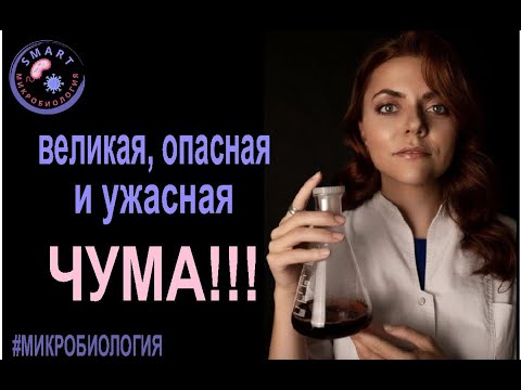 Видео: SmartLearn: Татьяна Колыганова "Эта ужасная и опасная Чума"