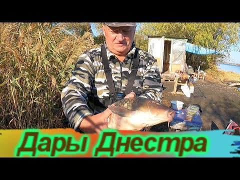 Видео: Дедушка Днестр был щедрым на рыбу , несмотря на штормовое / рыбалка 4-5 ноября / Днестр / Маяки