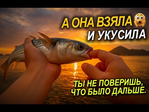 Видео: Я и не думал, что кефаль такая опасная. Море Рыбалка #fishing #рыбалка
