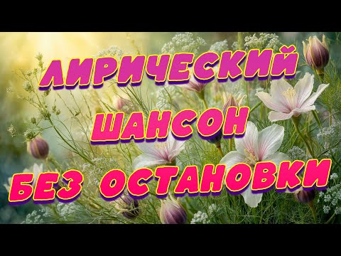 Видео: Заходи и Слушай! Здесь самые Лучшие песни!