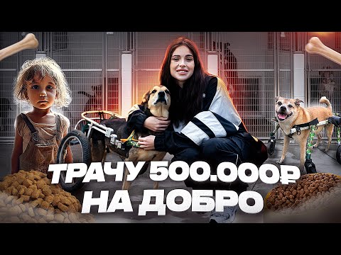 Видео: ТРАЧУ 500.000₽ НА ДОБРО // ДЕТСКИЙ ЦЕНТР, ПРИЮТ ДЛЯ ЖИВОТНЫХ