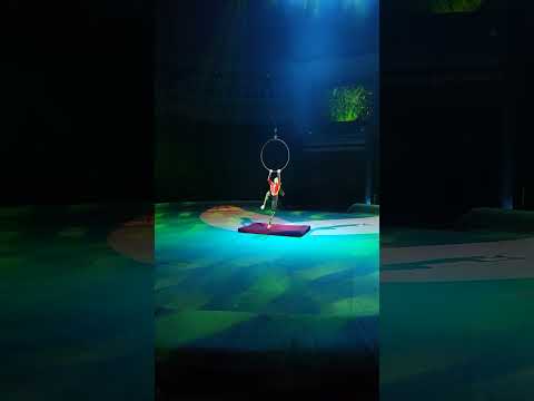 Видео: 4 октября 2025 г.