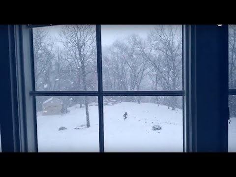 Видео: Фома та гурт Мандри. КОЛИ УПАДЕ СНІГ / FOMA and MANDRY Band /KOLY UPADE SNIG ( OFFICIAL MUSIC VIDEO)