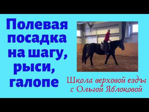 Видео: ПОЛЕВАЯ ПОСАДКА НА ШАГУ, РЫСИ, ГАЛОПЕ