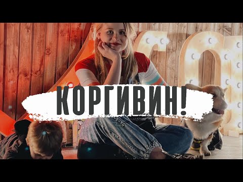 Видео: Вечеринка для собак! Мы с Бентли идем на Коргивин в Санкт-Петербурге! Halloween вечеринка для корги.