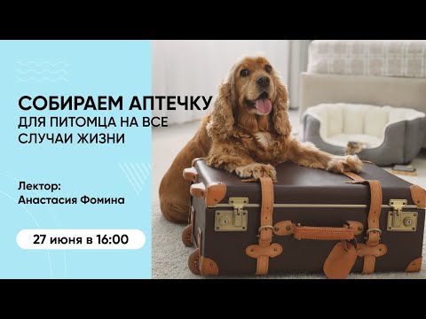 Видео: Вебинар «Собираем аптечку для питомца на все случаи жизни»
