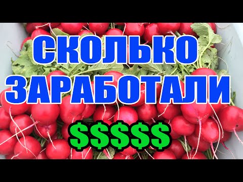 Видео: Редис осенью СКОЛЬКО ЗАРАБОТАЛИ ? Полный итог !