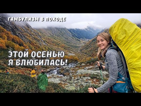 Видео: Первый поход в горы | В поисках сухой и чистой одежды | Золотая осень на Кавказе и первый снег