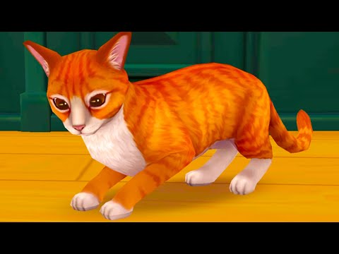 Видео: Приют для Кошек #1 Cat Rescue Story кошачья игра с Кидом на Пурумчата