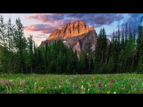 Видео: Дарси №10 || Раҳм ба мубтало, ҳисобот қиёмат , гармии дӯзах...ДОМУЛО СУХРОБ ОДИЛИЁН