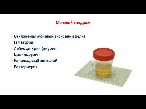 Видео: Синдромы в нефрологии