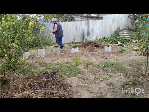 Видео: Жизнь  в селе/ хозяйство/ работа во дворе/