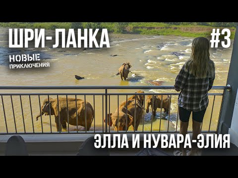 Видео: ШРИ-ЛАНКА 2023 #3. НУВАРА-ЭЛИЯ. БРИТАНСКАЯ ПОЧТА. ДОРОГА В ЭЛЛУ. ВОДОПАДЫ. КАФЕ. ОТЕЛЬ"MISTY VILLAS"