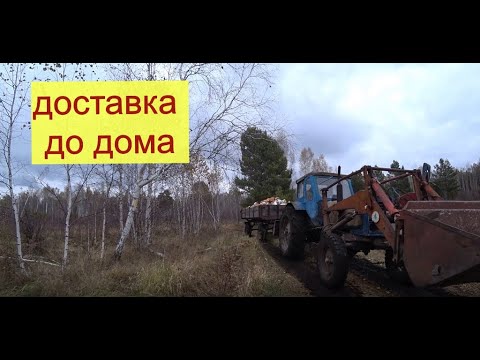 Видео: Как мы грузим  и возим дрова.