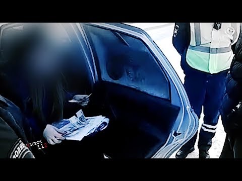 Видео: "Участок 112" (28.11.19г., Бийское телевидение)