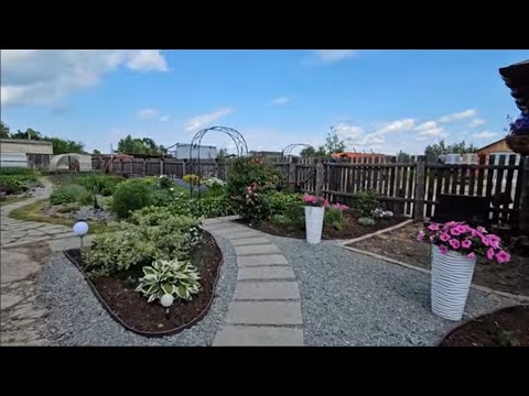 Видео: Обзор сада 💫Наконец-то у нас настало тепло🌸26 июня 2024г
