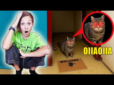 Видео: OIIA CAT из ИНТЕРНЕТА у МЕНЯ В ДОМЕ ! **проклятый кот**