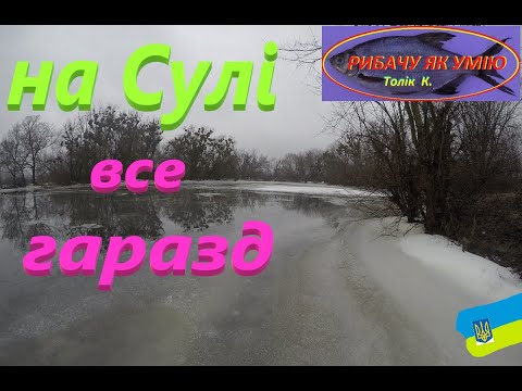 Видео: #Сула # З річкою все гаразд #РибачуЯкУмію