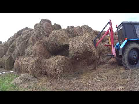 Видео: грузим сено трактором мтз 82 самодельным гусем