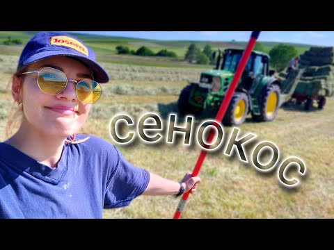 Видео: СЕНОКОС 2023 | Заготовка корма. Силос.  Наша жизнь в деревне #сенокос #деревенскаяжизнь