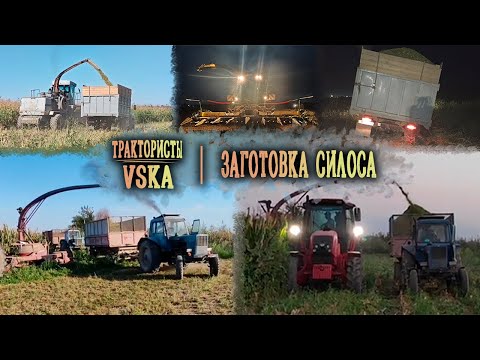 Видео: Заготовка силоса 2025. МТЗ, Т-40, КДП 3000, ЗИЛы и другая техника.