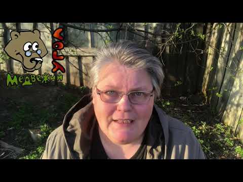 Видео: ЧЕРЁМУХА - ОПАСНОСТЬ ОТРАВЛЕНИЯ (Школа травоведения)