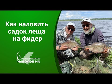 Видео: Как наловить садок леща на фидер. Любитель и спортсмен. Почувствуйте разницу.